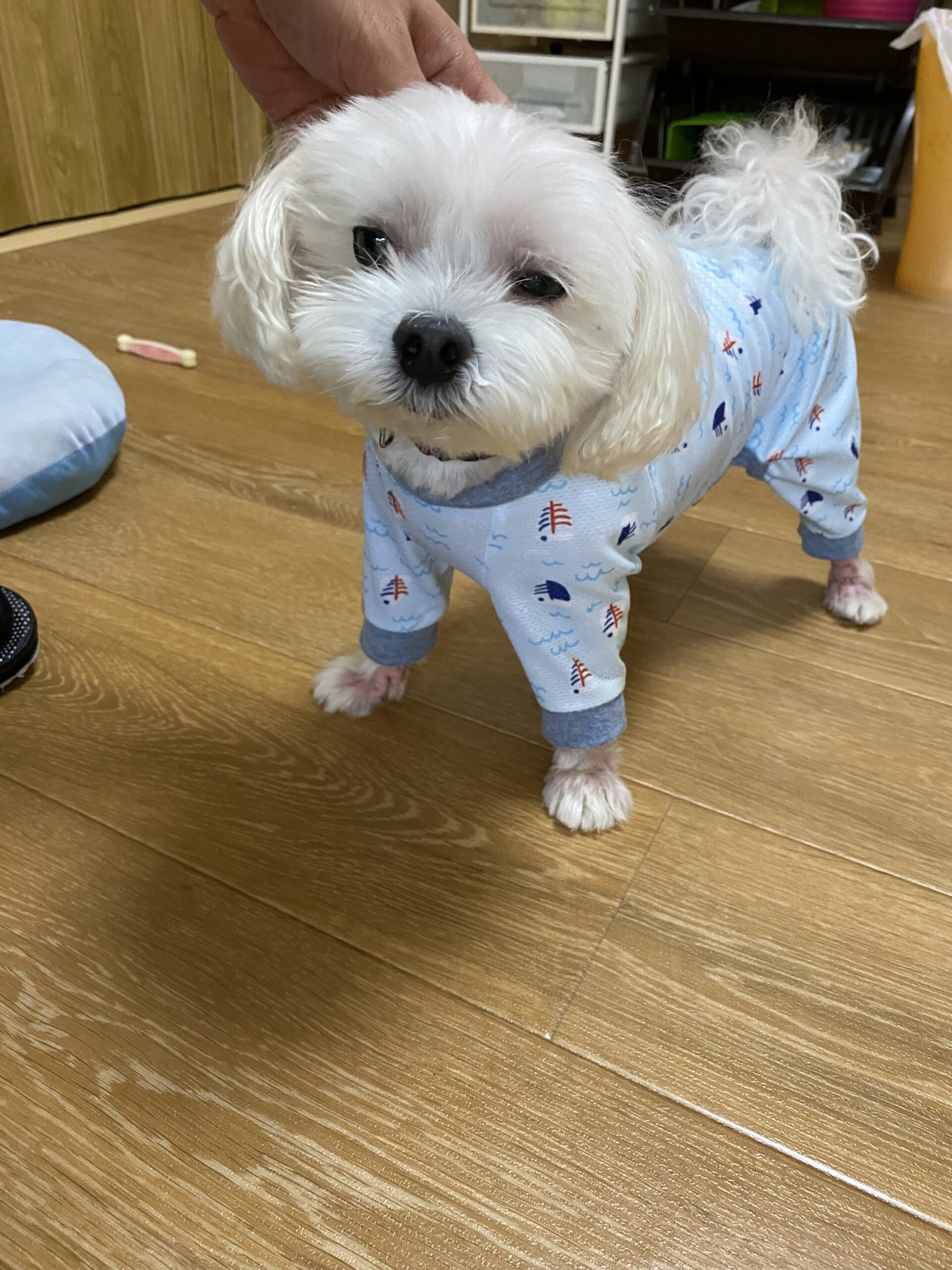 Webサイトをリニューアルしました